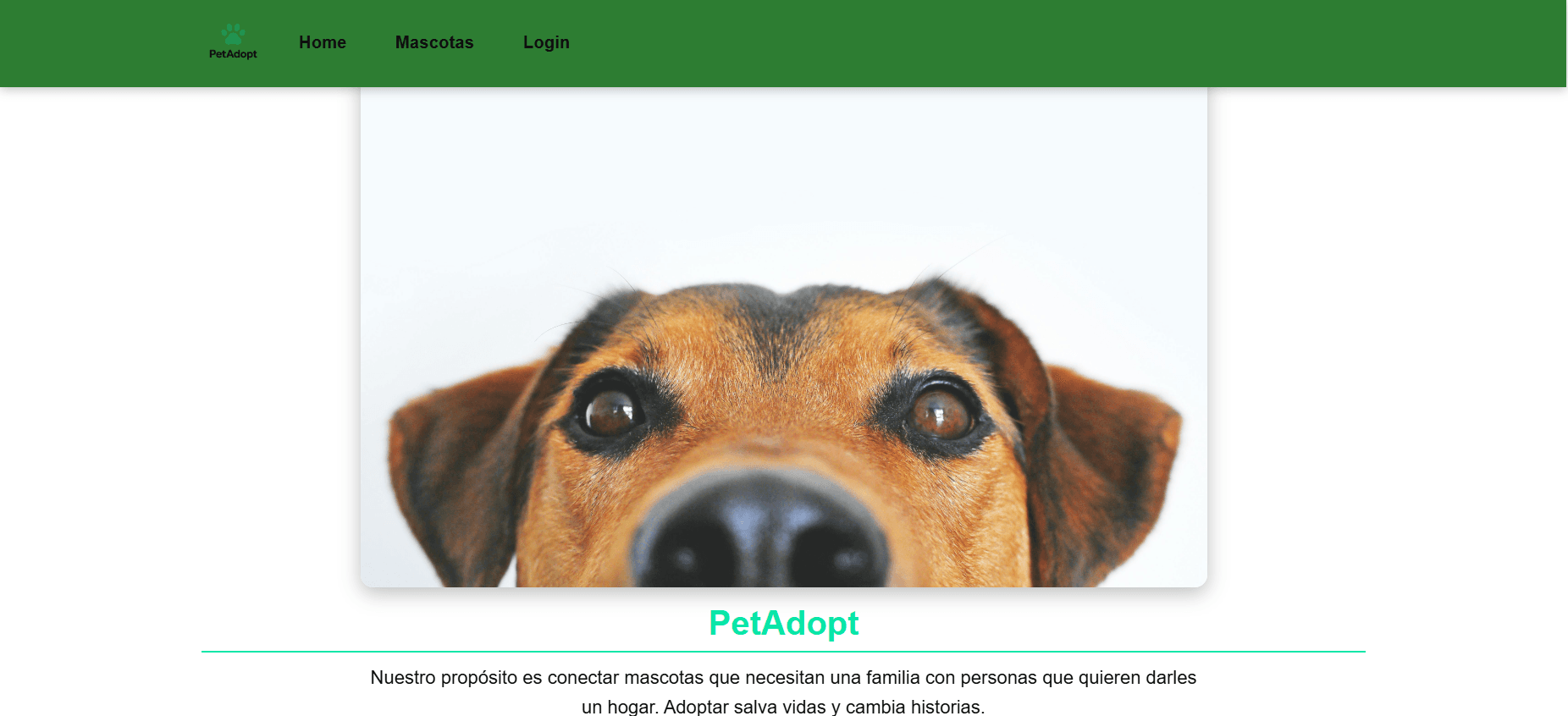 PetAdopt